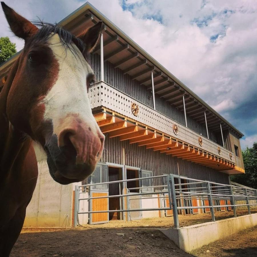 Erlebnisbauernhof Gutschi Ranch Kamp Buitenkant foto