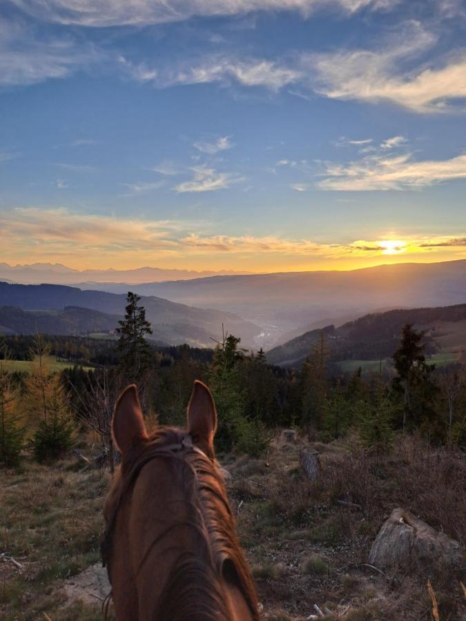 Erlebnisbauernhof Gutschi Ranch Kamp Buitenkant foto