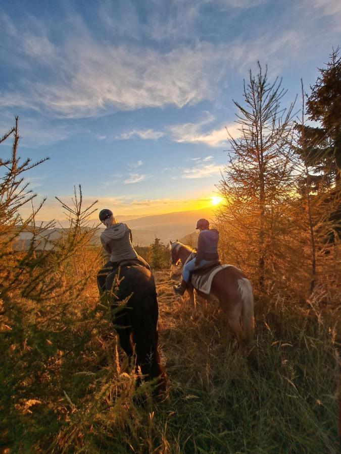 Erlebnisbauernhof Gutschi Ranch Kamp Buitenkant foto