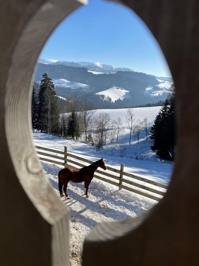 Erlebnisbauernhof Gutschi Ranch Kamp Buitenkant foto