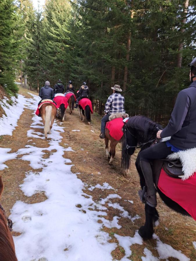 Erlebnisbauernhof Gutschi Ranch Kamp Buitenkant foto