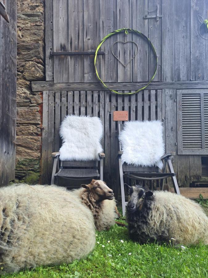 Erlebnisbauernhof Gutschi Ranch Kamp Buitenkant foto